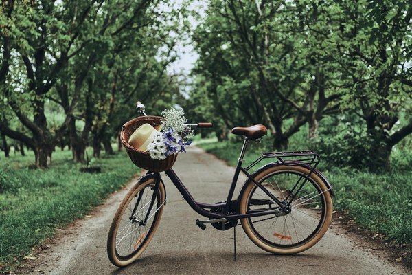 Quali sono i criteri di scelta per un trasportino per gatti resistenti allo stress dei viaggi?